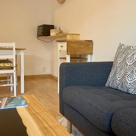 Sully Ii - Of 33 Sqm With Parking 400m From * Annecy